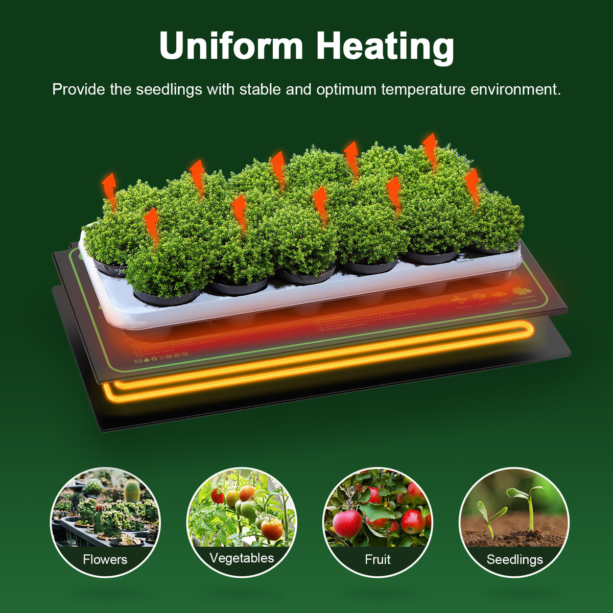 AVOXEZOR 2 Pack Seedling Heat Mat 10" x 20" MET Standard, Durable Waterproof Warm Hydroponic Heating Pad for Home Gardening Seed Start Climbing pet